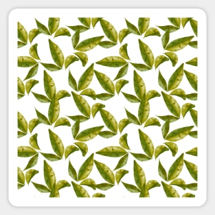 Leaves patterns Sticker